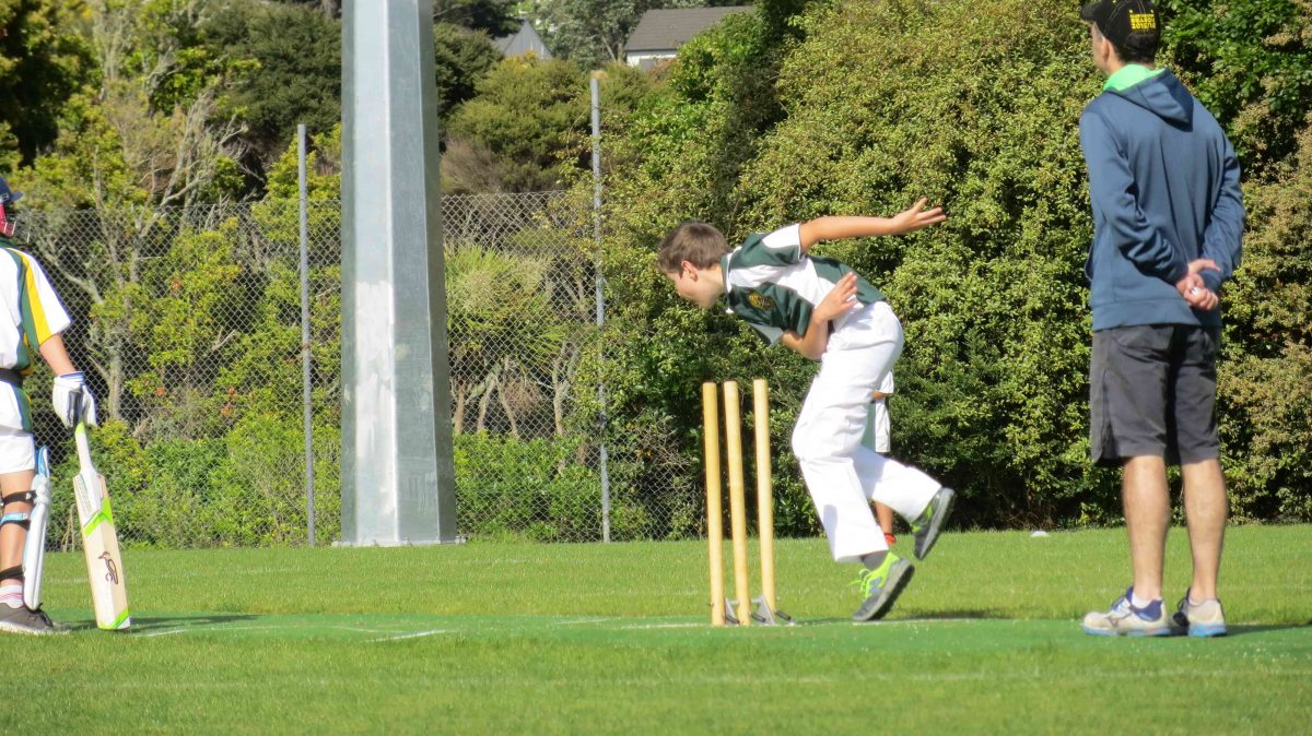 Brodie, Year 5 cobras